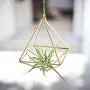 Hanging air plant holder, mobile Himmeli, gold plant hanger, air plant geometric planter, airplant display, home decor gift, octahedron 01 Hanging air plant holder, mobile Himmeli, gold plant hanger, air plant geometric planter, airplant display, home decor gift, octahedron 01
