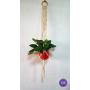Le Hang Set of 2 Handmade Macrame Plant Hanger| Set of 2 Indoor Hanging Planter Le Hang Set of 2 Handmade Macrame Plant Hanger| Set of 2 Indoor Hanging Planter