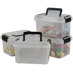 Teyyvn Plastic Mini Latch Box, Storage Bin with Locking Lids(Pack of 4, 2 L, Clear)