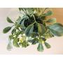 Mistletoe kissing Ball / 5 inches in diameter/Synthetic mistletoe with green and white berries/Birthday decoration/Ceiling hanger/Kissing decor/Seasonal decor/Sweetheart gift