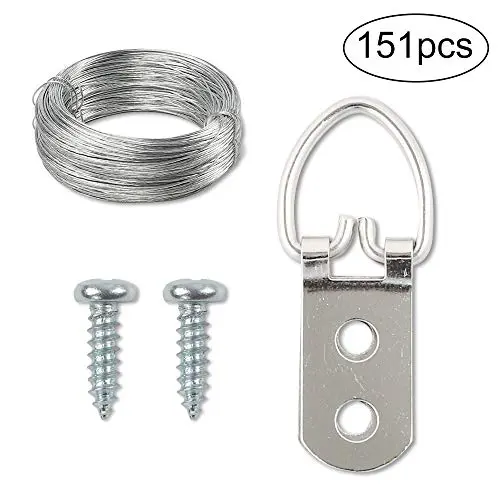 HongWay D Ring Picture Hangers Heavy Duty, Picture Hangers Kit 226 Pcs Including 75 Pieces D Ring Picture Hangers Double Hole with 150 Phillips Screws and Picture Hanging Wire (110 Feet)