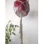 Macrame Plant Hanger Macrame Plant Hanger