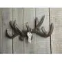 Comfify Vintage Cast Iron Deer Antlers Wall Hooks Antique Finish Metal Clothes Hanger Rack w/Hooks | Includes Screws and Anchors | in Rust Brown (Antlers Hook CA-1507-26) Comfify Vintage Cast Iron Deer Antlers Wall Hooks Antique Finish Metal Clothes Hanger Rack w/Hooks | Includes Screws and Anchors | in Rust Brown (Antlers Hook CA-1507-26)