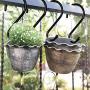 DINGEE 6 inch Large S Hooks Heavy Duty Non-Slip Vinyl Coated (6 Pack) Black Metal Steel S Hooks for Hanging Plants Closet Rod Jeans Plants Jewelry Kitchen Pot Pan Cups Towels Hats