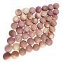 Cedar Balls for Clothes and Shoes Storage, Cedar Blocks for Hangers, 48 Pack