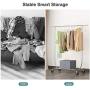 Sable Garment Rack, Multi-Function Commercial Grade Clothes Rolling Rack 330 lbs Load on 4 Wheels, Easy to Assemble, Comes with Free Foldable Storage Box, Heavy Duty Steel - Chrome