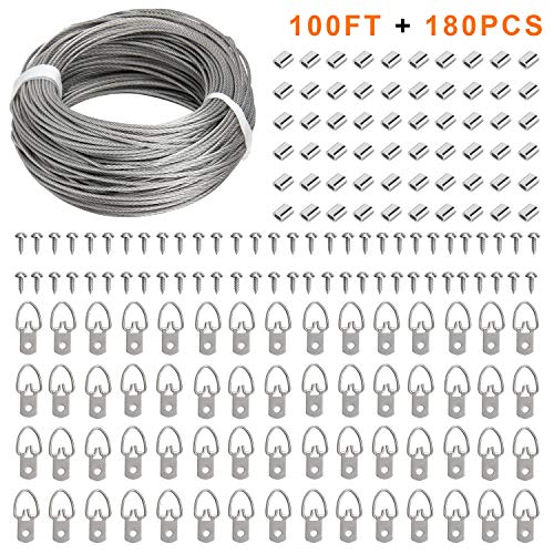 Picture Hanging Kit, 60 Pcs D Ring Picture Hangers with Screws and 100 Feet Stainless Steel Hanging Wire, for Hanging Paintings Photos