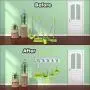 DiGiCare Broom Holder, Wall Mount Mop Holder Broom Hanger Organizer with 5 Ball Slots and 6 Hooks, Holds Up to 11 Tools for Kitchen, Bathroom, Garage DiGiCare Broom Holder, Wall Mount Mop Holder Broom Hanger Organizer with 5 Ball Slots and 6 Hooks, Holds Up to 11 Tools for Kitchen, Bathroom, Garage