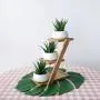Supla 2 Pcs Textured Faux Succulent Pick, Spiky Green Haworthia Cactus,Artificial mini aloe,unpotted (green) Supla 2 Pcs Textured Faux Succulent Pick, Spiky Green Haworthia Cactus,Artificial mini aloe,unpotted (green)