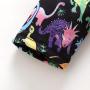 Jshuang ?（12M-5T）Toddler Baby Girls Long Sleeve Cartoon Dinosaur Print Dress Outfits Clothes