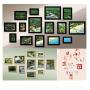 Picture Hanging Kit Includes Hooks, Nails, Sawtooth Hangers, Frames,and Picture Hanging Wire 200pcs
