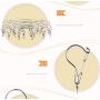 Inoutdoorkit Clip & Drip Laundry Clothes Socks Drying Hanger Stainless Steel 20 Clips for Underwear, Lingerie, Bra, Kids Baby Clothes, Diapers, Towel, Hat, Scarf, Gloves SHR20 (Stainless Steel)