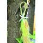 Starfish raffia braided chair hangers,Luau,Beach Pew Bows,Starfish and Raffia Chair Hangers Aisleway Hanging Starfish Decor,Nautical wedding decor,Rustic Country Chic Wedding,Chair Hangers,Pew Bow