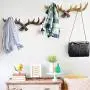 GGYDD Vintage Antlers Rack Coat Hooks, Wooden Wall-Mounted Hanger Rack Sturdy Coat Hooks for Clothes Hats Scarves-b 49x17x6cm(19x7x2)