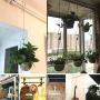 Maydahui 5PCS Extra Long 16 inch S Shaped Hooks Stainless Steel Large Size Silver Hanger for Bird Feeder, Plant Hanger, Tree Branch Hook, Clothes, Outdoor Lights Maydahui 5PCS Extra Long 16 inch S Shaped Hooks Stainless Steel Large Size Silver Hanger for Bird Feeder, Plant Hanger, Tree Branch Hook, Clothes, Outdoor Lights