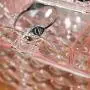 Ikee Design Acrylic Diamond Pattern Jewelry & Cosmetic Storage Display Boxes 3 Pieces Set, Pink