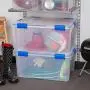 Ziploc WeatherShield 60 Quart Storage Box, 2 Pack, Clear
