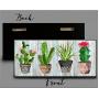 Wooden Cactus key holder for wall, Cactus wall decor, Tropical wall decor, Hook key, Organizer wall key rack, Cactus key storage,Wall Key Rack, Key Hangers, Personalized Gift, Cacti key hanger