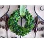 5" Small Preserved Mini Boxwood Wreath with Sheer Green Ribbon for Spring Summer Year Round, Christmas, Wedding, Rustic Farmhouse Home Decor, Door or Mirror Hanger, Green, Extra Full, Handmade