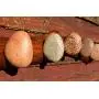 6 Stone Hooks on Oak wood - Hanger - Coat Rack with Beach STONES - Hardwood Handcrafted Wall mounted solid oak towel rack with natural Beach Stones - medal hanger - towel holder