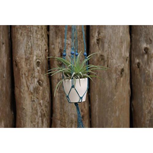 Modern plant hanger Modern plant hanger