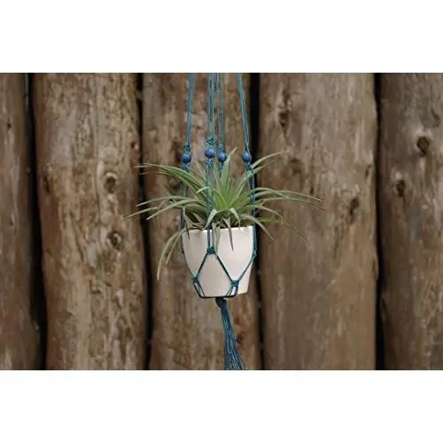 Modern plant hanger