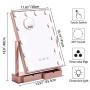 Fenair Makeup Vanity Mirror With Lights -2 Storage Boxes- Large Lighted Vanity Makeup Mirror 47cm x30cm - Hollywood Style,3 Color Lighting Model,360° Rotation,12 Detachable Dimmable Bulbs (Rose)