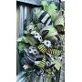 Army wreath| Military wreath |Camouflage Army wreath| Army decorative Wreath| Army door hanger | Army decor| Free Shipping |Hard Working Mom