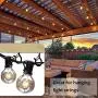 TERMATH 25 Pack Q Hangers, Safety Buckle Design, Windproof Screw in C Hooks for Outdoor Light String, Plant Baskets, Wind Chimes, Bird Feeder, Christmas Party Lights TERMATH 25 Pack Q Hangers, Safety Buckle Design, Windproof Screw in C Hooks for Outdoor Light String, Plant Baskets, Wind Chimes, Bird Feeder, Christmas Party Lights