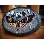 Holo Deaths Head Hawkmoth Lunar Moon Phases Hand Made 3 Hook Jewelry Key Hanger Organizer