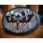 Holo Deaths Head Hawkmoth Lunar Moon Phases Hand Made 3 Hook Jewelry Key Hanger Organizer