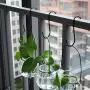 DINGEE Extra Large 5inch S Hooks Hanging Heavy Duty 6pack Black S Shaped Hanger Hooks for Closet,Jeans Plants Jewelry Kitchen Pot Pan Cups Towels Hats DINGEE Extra Large 5inch S Hooks Hanging Heavy Duty 6pack Black S Shaped Hanger Hooks for Closet,Jeans Plants Jewelry Kitchen Pot Pan Cups Towels Hats