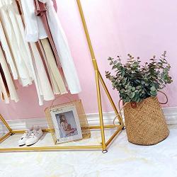 Modern Lady Gold Clothing Racks Iron Clothes Garment for Women Deluxe Cloth Rack Stand Rack For Women Dress Gold hangers for Bedroom Living Room Cloth Store