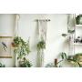 Plant Hanger, Macrame Plant Hanger, Special hanging planter, macrame plant holder, fabric Art, boho art, boho decor, retro, plant holder Plant Hanger, Macrame Plant Hanger, Special hanging planter, macrame plant holder, fabric Art, boho art, boho decor, retro, plant holder