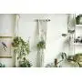 Plant Hanger, Macrame Plant Hanger, Special hanging planter, macrame plant holder, fabric Art, boho art, boho decor, retro, plant holder
