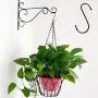 DINGEE Extra Large 5inch S Hooks Hanging Heavy Duty 6pack Black S Shaped Hanger Hooks for Closet,Jeans Plants Jewelry Kitchen Pot Pan Cups Towels Hats DINGEE Extra Large 5inch S Hooks Hanging Heavy Duty 6pack Black S Shaped Hanger Hooks for Closet,Jeans Plants Jewelry Kitchen Pot Pan Cups Towels Hats