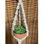 Macrame Mini Car Plant Hanger. Car Accessory