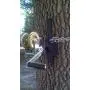 EZ-WINCH MOUNT for EZ-feeder hanger tree limb deer hog hunting game hoist boat -FREE SHIP (* mount only, no winch included)