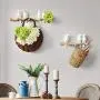 Evibooin Decor Wall Mounted Coat Rack | Birds On Tree Branch Hanger | for Coats, Hats, Keys, Towels, Clothes Storage Hanger (4 Hooks)
