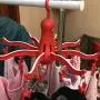 Ikea 801.896.63 Pressa Hanging Dryer with 16 Clothes Clips, Red Ikea 801.896.63 Pressa Hanging Dryer with 16 Clothes Clips, Red