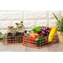 Juvale Metal Wire Baskets - 2-Set Nesting Copper Mesh Storage Box, Organizer for Home Office Bathroom and Bedroom, Rose Gold, Small and Medium Sized Juvale Metal Wire Baskets - 2-Set Nesting Copper Mesh Storage Box, Organizer for Home Office Bathroom and Bedroom, Rose Gold, Small and Medium Sized