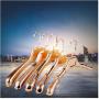 5Pcs Gold Plastic Hanger for Clothes Organizer Clothing Coat Suit Hanger Closet Decoration