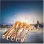 5Pcs Gold Plastic Hanger for Clothes Organizer Clothing Coat Suit Hanger Closet Decoration 5Pcs Gold Plastic Hanger for Clothes Organizer Clothing Coat Suit Hanger Closet Decoration