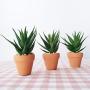 Supla 2 Pcs Textured Faux Succulent Pick, Spiky Green Haworthia Cactus,Artificial mini aloe,unpotted (green)