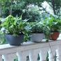 CatcherMy Hanging Basket, Cotton Rope Hanging Pylon with Water Volume Indicator, Self-Absorbing, Flower Pot Plant Holder Hanger Plant Holder for Indoor Outdoor Ceiling Balconies Wall Decoration CatcherMy Hanging Basket, Cotton Rope Hanging Pylon with Water Volume Indicator, Self-Absorbing, Flower Pot Plant Holder Hanger Plant Holder for Indoor Outdoor Ceiling Balconies Wall Decoration