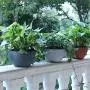 CatcherMy Hanging Basket, Cotton Rope Hanging Pylon with Water Volume Indicator, Self-Absorbing, Flower Pot Plant Holder Hanger Plant Holder for Indoor Outdoor Ceiling Balconies Wall Decoration