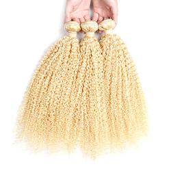 TongLingUSL Hair Extensions Wigs Storage Bag with Wig Hanger Dust Proof Protective Wig Storage Holder for Styling Accessories (Color : Gold, Size : 16inch)