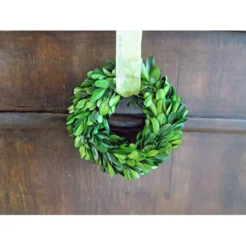 5&quot Small Preserved Mini Boxwood Wreath with Sheer Green Ribbon for Spring Summer Year Round, Christmas, Wedding, Rustic Farmhouse Home Decor, Door or Mirror Hanger, Green, Extra Full, Handmade