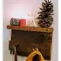 Reclaimed Rough-Sawn Wooden Shelf w/Railroad Track Spike Coat Hangers.
