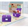 TQVAI Large Folding Lidded Storage Cube Boxes(4 Pack) with Lids/Label Card Holder Non-Woven Stackable Clothes Bin Container Kids Toy Organizer with Dividers, Mint&Purple